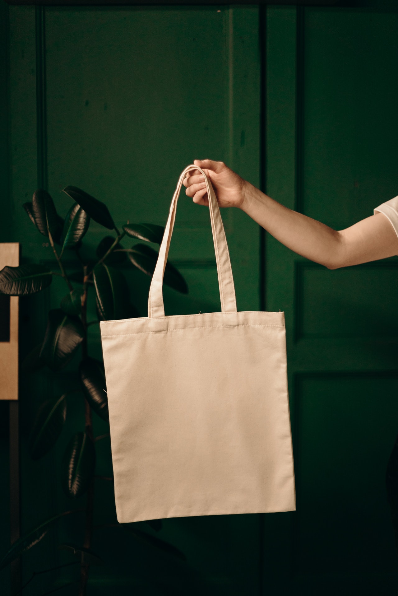 Co roku tony jedzenia lądują w koszu. Jak tego uniknąć? Nauczmy młodych Polaków żyć według zasad 5R i zero waste!